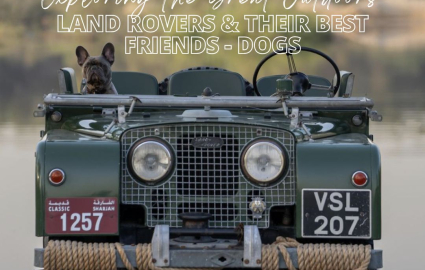 Exploring the Great Outdoors: Land Rovers and Their Best Friends – Dogs!