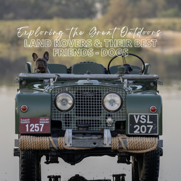 Exploring the Great Outdoors: Land Rovers and Their Best Friends – Dogs!